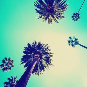 Meet your Posher, Chad